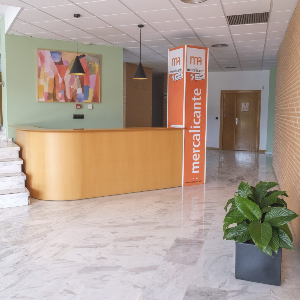 Decoración Interiores Proyecto Mercalicante Marga Cano