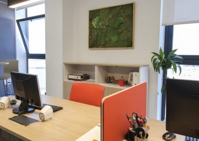 Proyecto Mercalicante Marga Cano