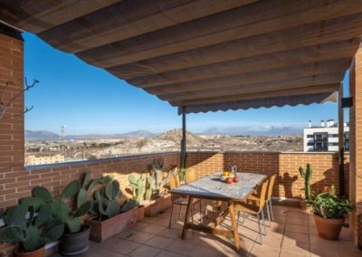 Proyecto Cactus Terrace Marga Cano