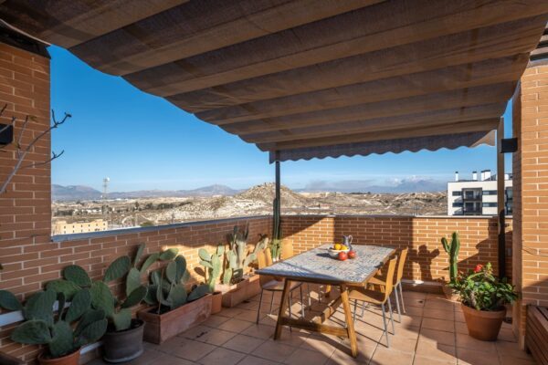 Proyecto Cactus Terrace Marga Cano